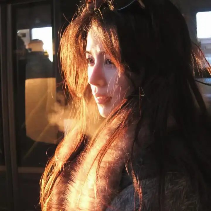 七彩狗