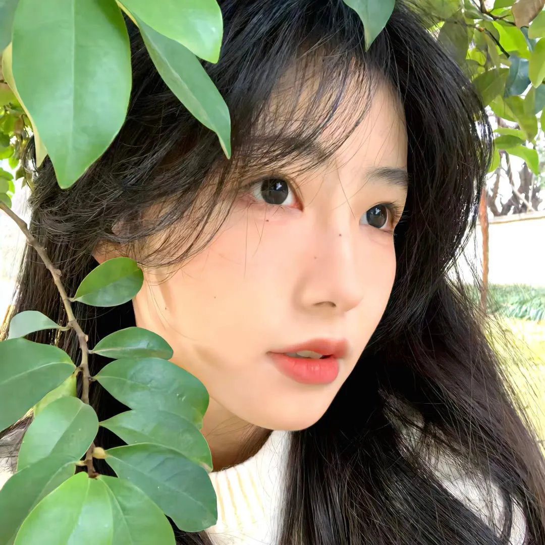 驯荒记