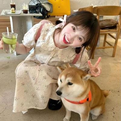 去日苦多粤语